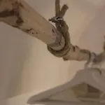 Apartmán Scuderie Maresca *